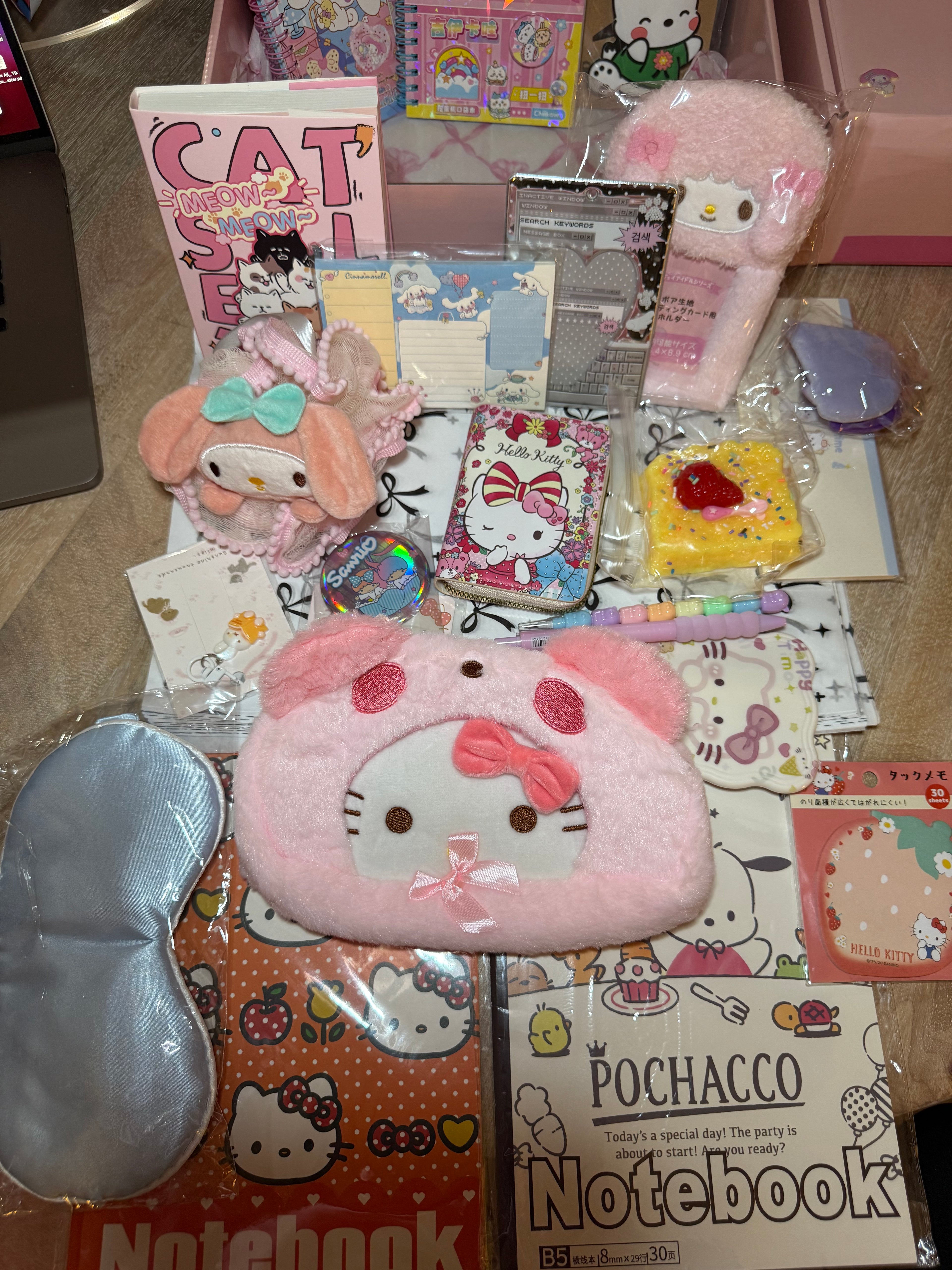 Nat’s Dream Picks ✧ LARGE Hello Kitty & Friends Cute Mania