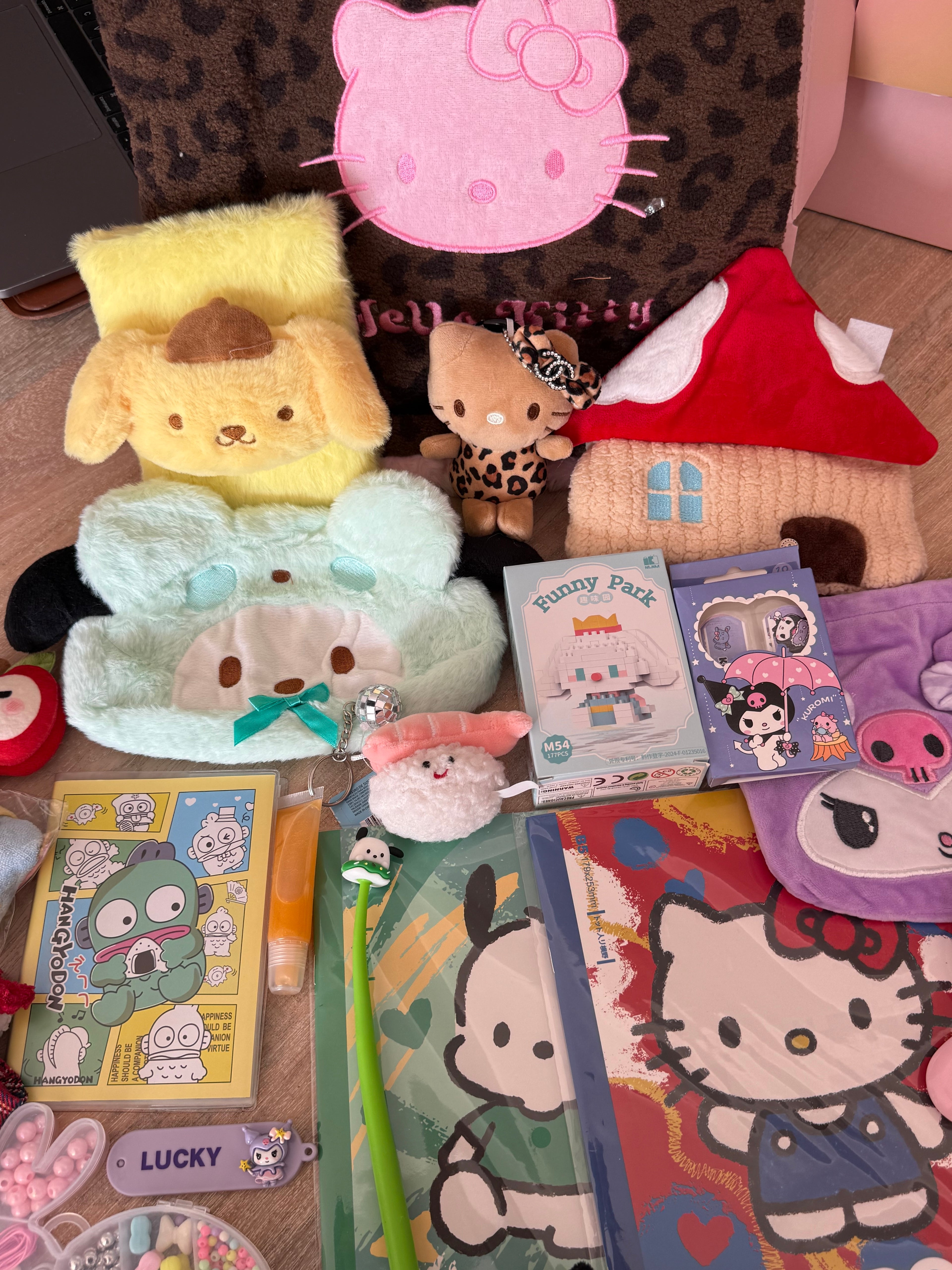 Funky Finds Box ✧ MEDIUM ✧ Sanrio Random Items