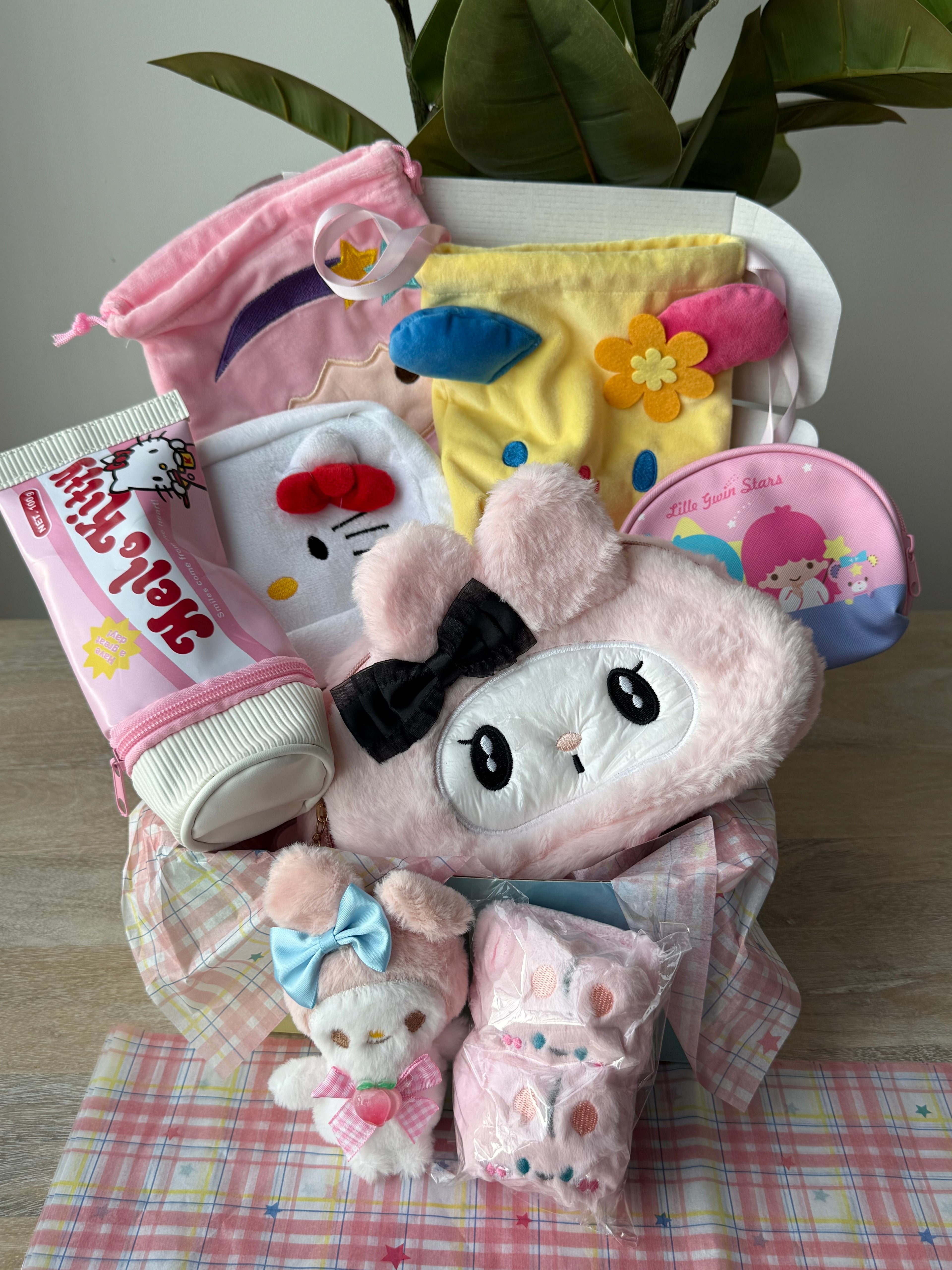 Pouch Princess Box ✧ MEDIUM + Free Gifts Inside🎀🦢