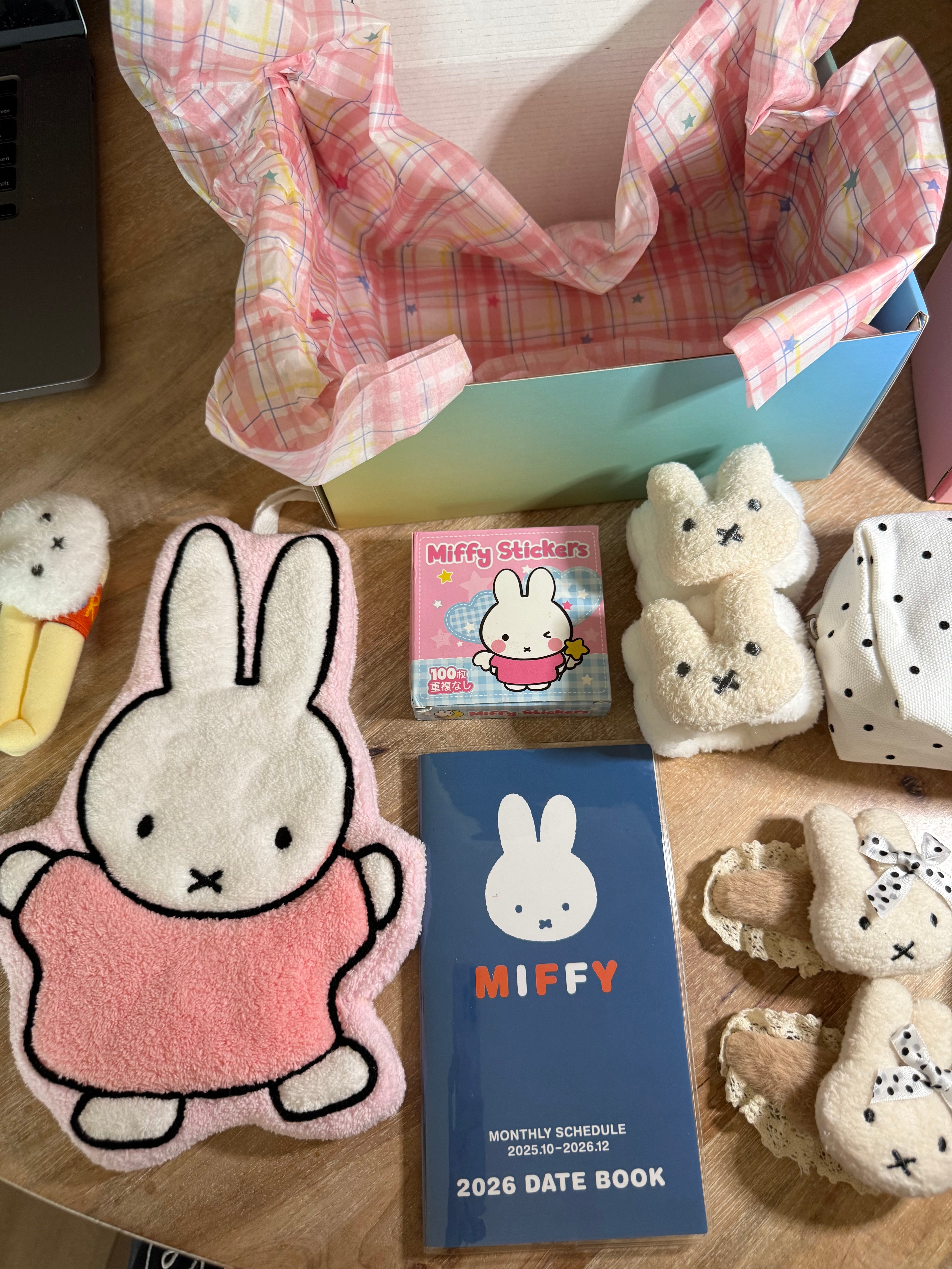 Miffy Meadow Box - Medium 💙 Miffy gift box collection