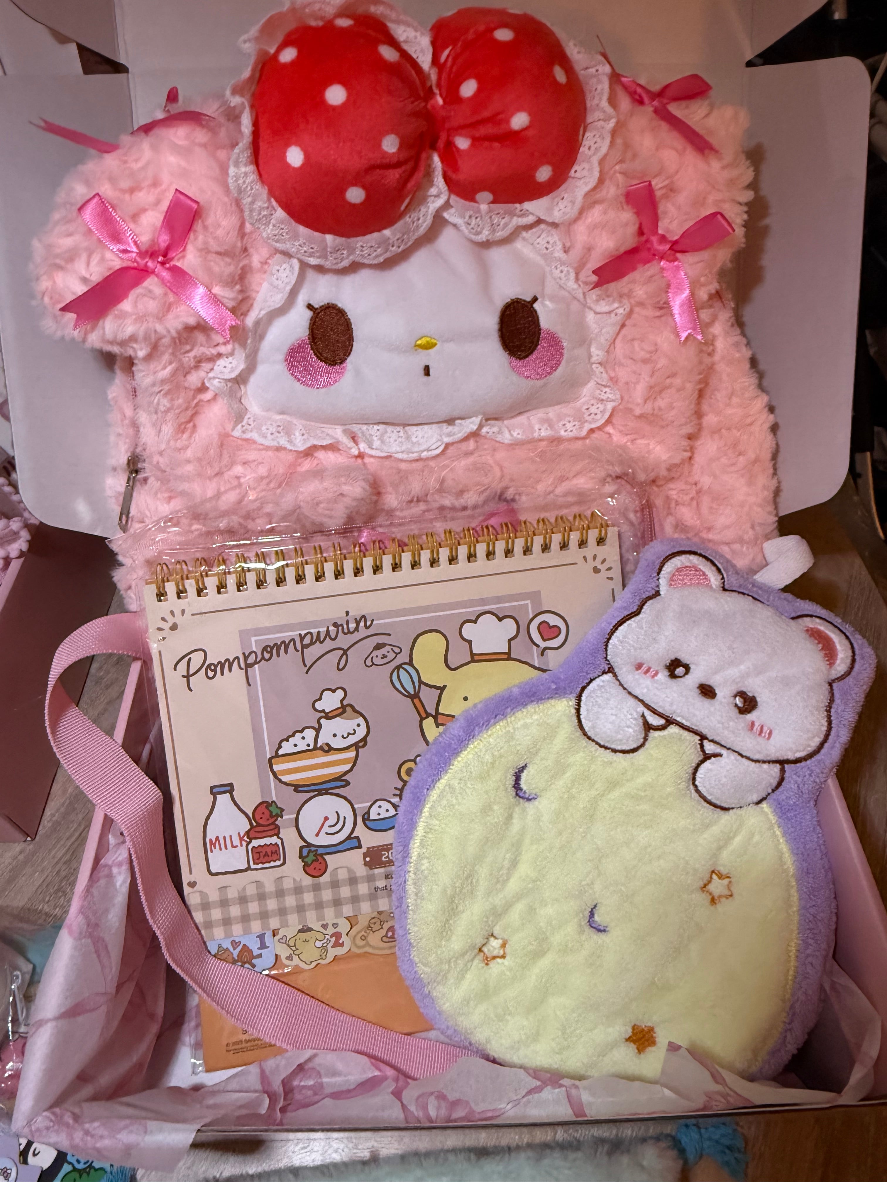 Dreamland Deluxe ✧ LARGE ✧ Mixed Sanrio Character Box