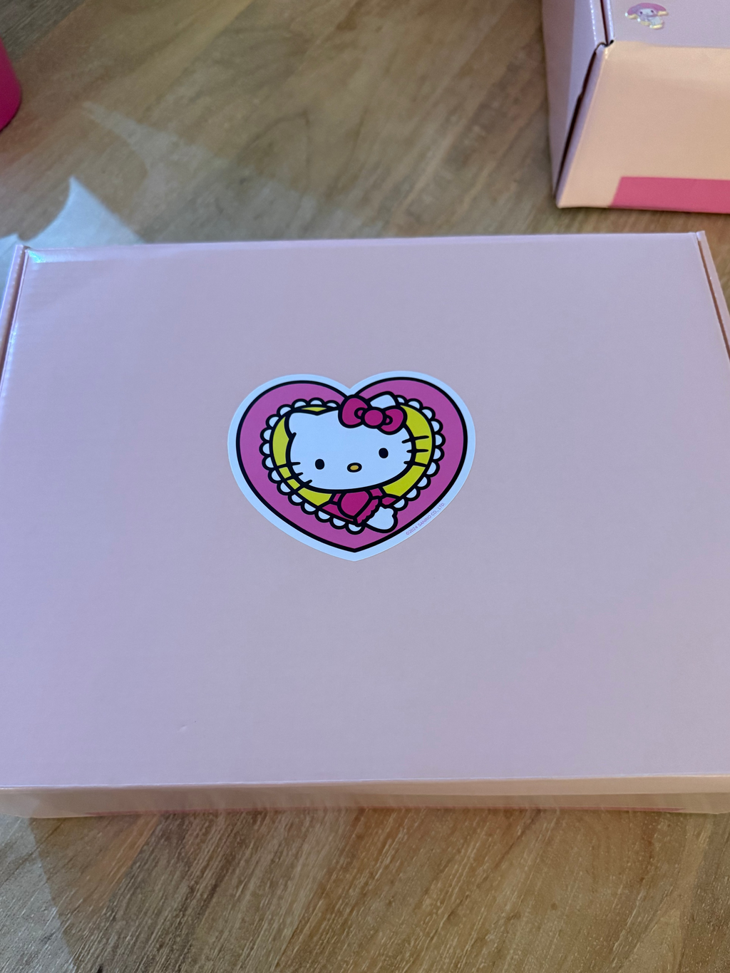Nat’s Dream Picks ✧ LARGE Hello Kitty & Friends Cute Mania