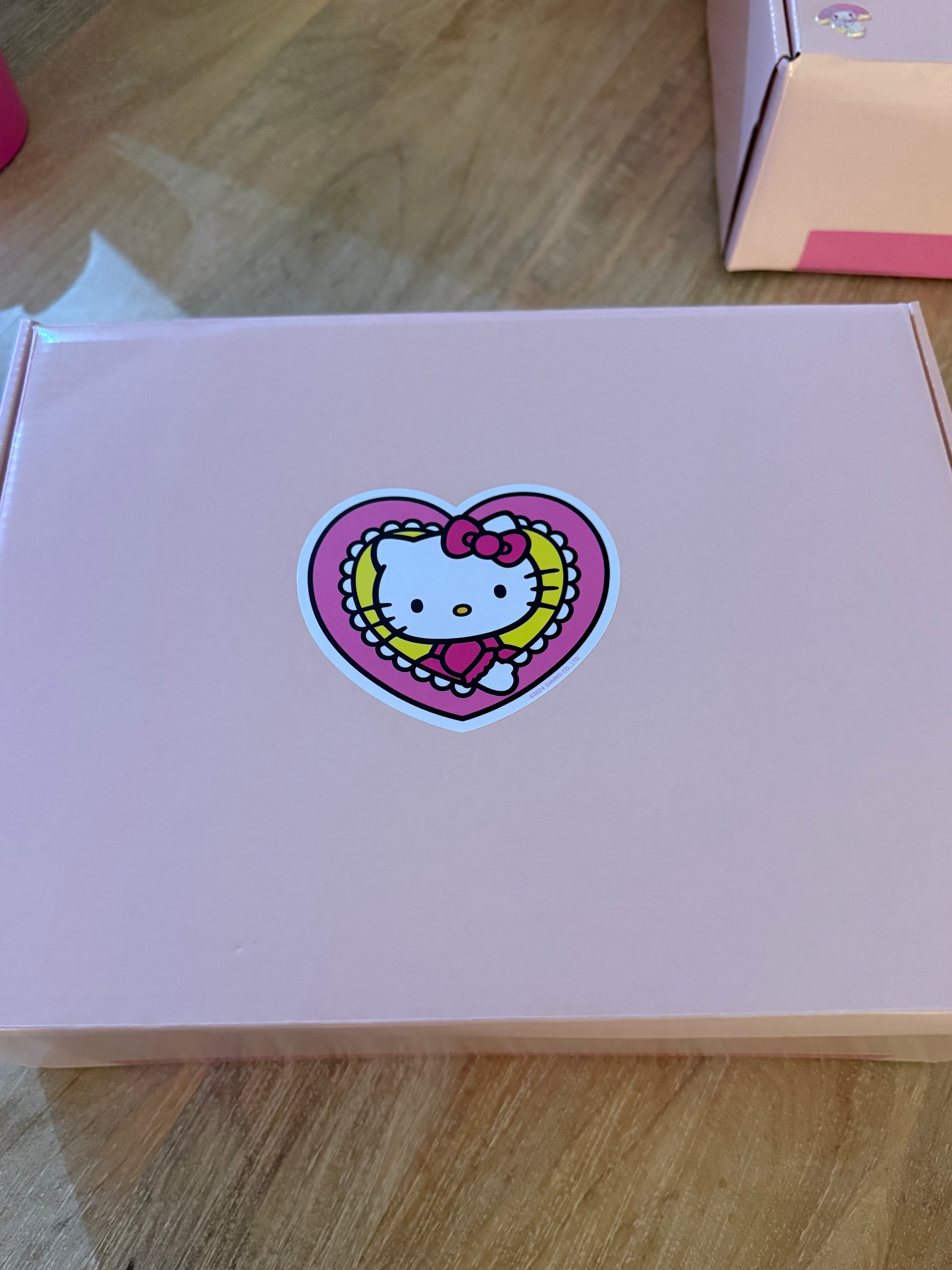 Nat’s Dream Picks ✧ LARGE Hello Kitty & Friends Cute Mania